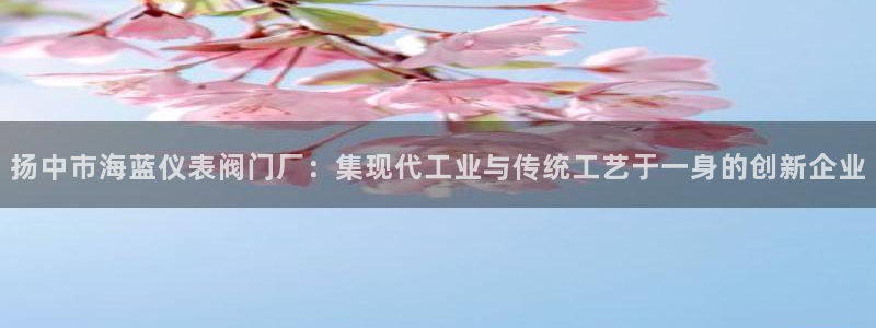 广东新宝电器gg