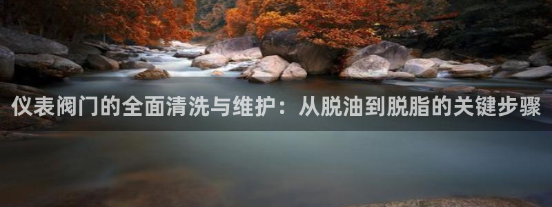 怎么代理新宝gg