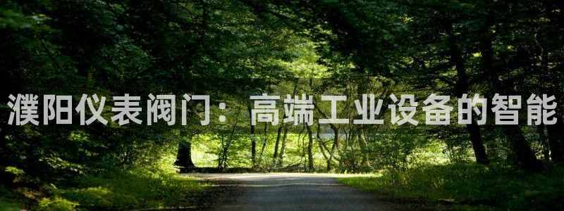 新宝gg官方注册找上级