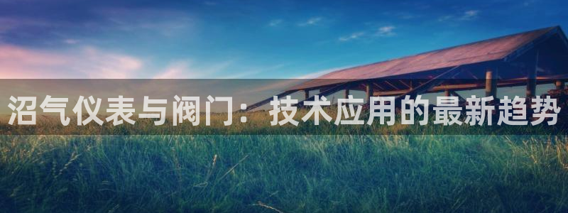 新宝gg登陆平台