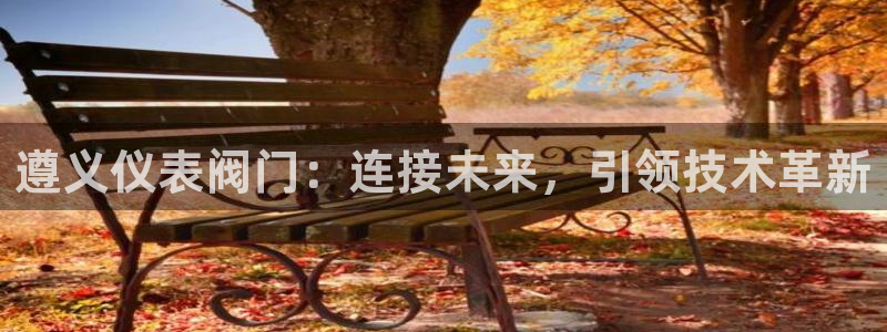 新宝六与新宝gg