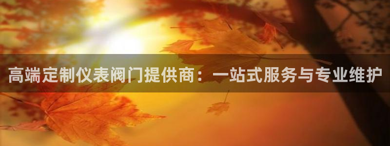 新宝gg平台登录 新宝GG