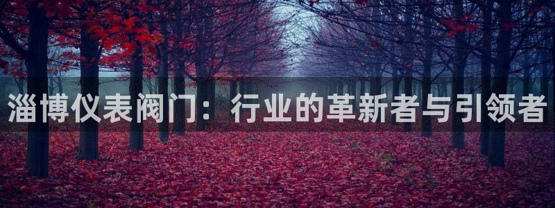 新宝gg建立团队