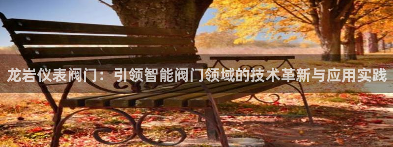 新宝gg娱乐盟主